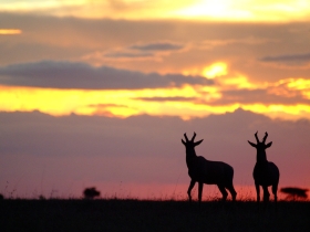 Kenya