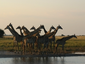 Africa safari overland adventure