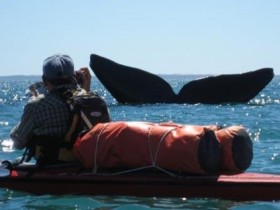 Patagonia kayaking holiday
