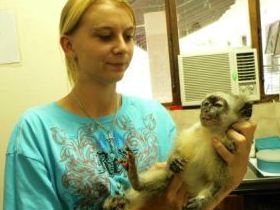 Animal rehabilitation project in South Africa