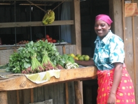 Business mentoring in Tanzania, womens empowerment project