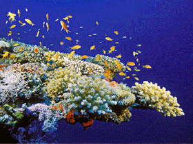 Dahab diving holiday, Egypt