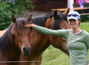 Meeting the horses on riding holiday in Sweden