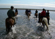 Horse riding through water on Iceland holiday
