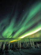 Northern lights on Canada husky safari