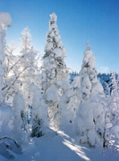 Snow scene on Quebec winter adventure holiday