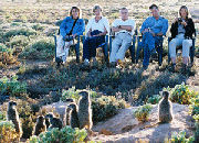 meerkats, South Africa nature holiday, tailormade