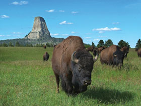 New York to San Francisco overland tour