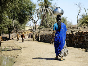 North India tailormade holiday