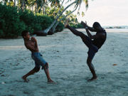 Beach, rainforest conservation in Brazil