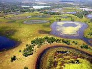 Pantanal