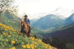 May flowers on Spruce side hills