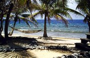 Beach view, Whale shark diving in Honduras