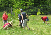 Gardening, Oregon cycling vacations