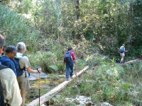 Golden Triangle trek