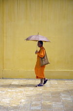 Monk, Cambodia photography holiday