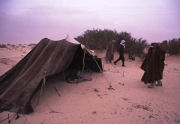 Bedouin camp in Tunisia