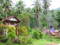 Conservation in Thailand