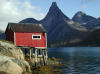 Sailing on whale watching holiday in Norway