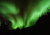 Northern Lights on Norway whale watching holiday