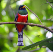 Henrri Pittier National Park on Venezuela holiday
