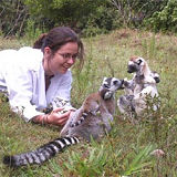 Ringtail lemur and sifaka at Nahampoana reserve on Madagascar volunteering holiday
