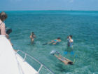 snorkelling, caribbean sailtrek