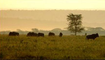 Ngoro Ngoro crater, Kilimanjaro
