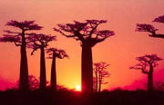 Sunset on Madagascar holiday