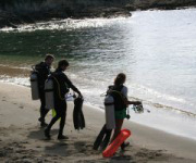 Tobago conservation
