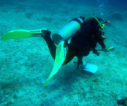 Tobago conservation