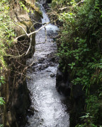 River on Panama group tour