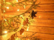 Christmas tree on Lapland meet Santa holiday