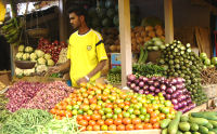 Market, History, culture & wildlife of India holiday