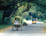 Road, South India tour