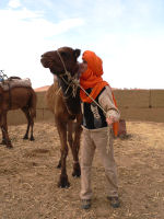 Camel, Berber family in Morocco