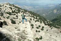 Camping on Sardinia independent holiday
