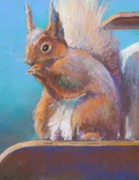 Squirrel painted, Scotland painting holidays