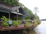 Eco lodge, Orangutan & pygmy elephant safari