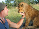 Lion cubs on Africa overland adventure, Cairo to Cape Town