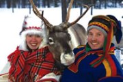 Reindeer, Tailor made winter holiday in Lapland