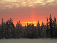 Finland activities