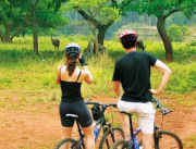 Game viewing on South Africa & Swaziland cycling holiday