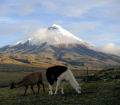 Scenery on day tour from Quito