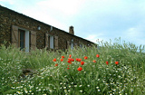 Garden at Spain mountain biking accommodation