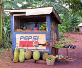 Local produce on Community volunteering in Uganda