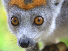 Madagascar tailor made holiday