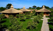 Orange grove at Turkey beach chalets, Cirali