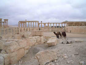 Syria holidays, tailormade