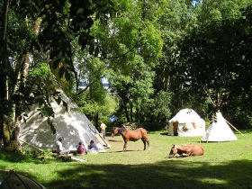 Sustainable living courses, Ireland